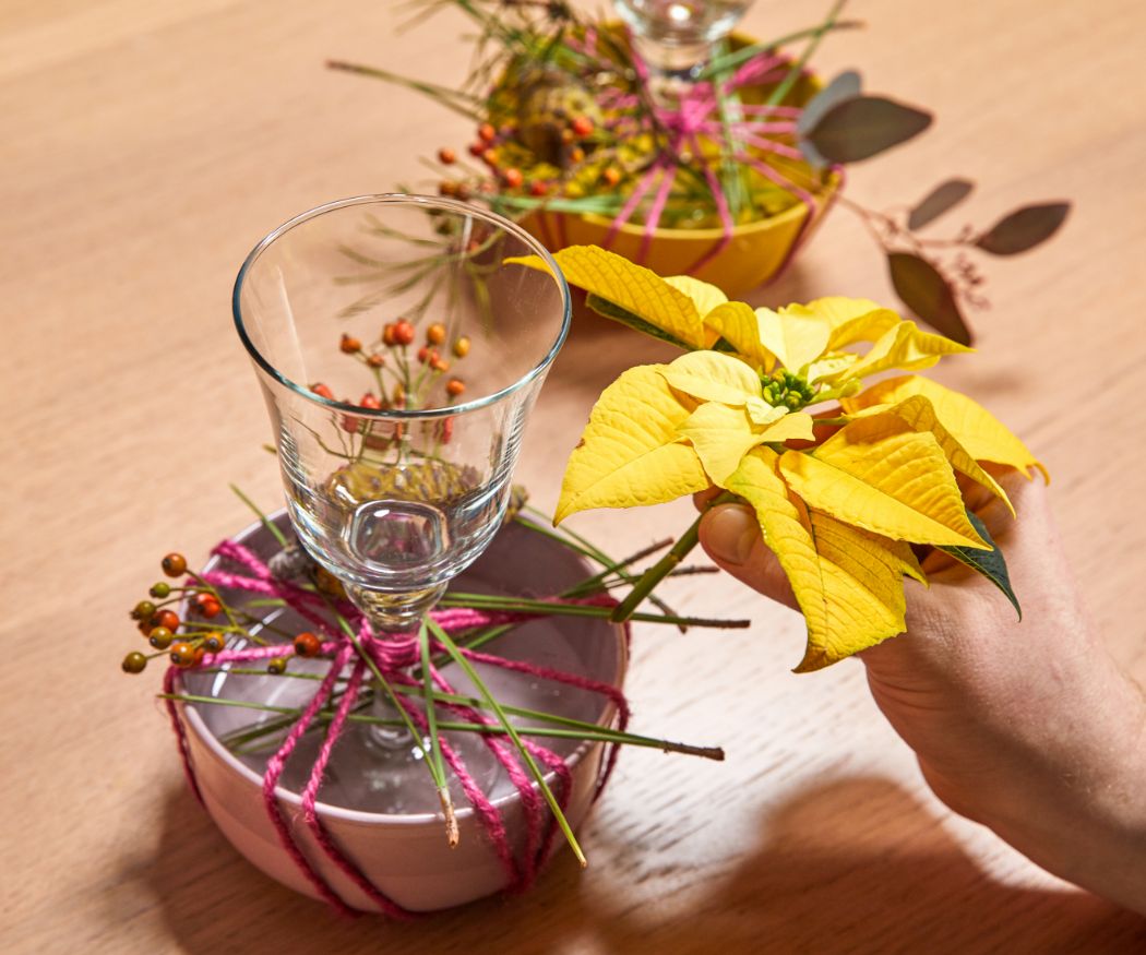 2024_Poinsettia_05120_DIY_Upcycled_Tableware_Advent_Arrangement_03
