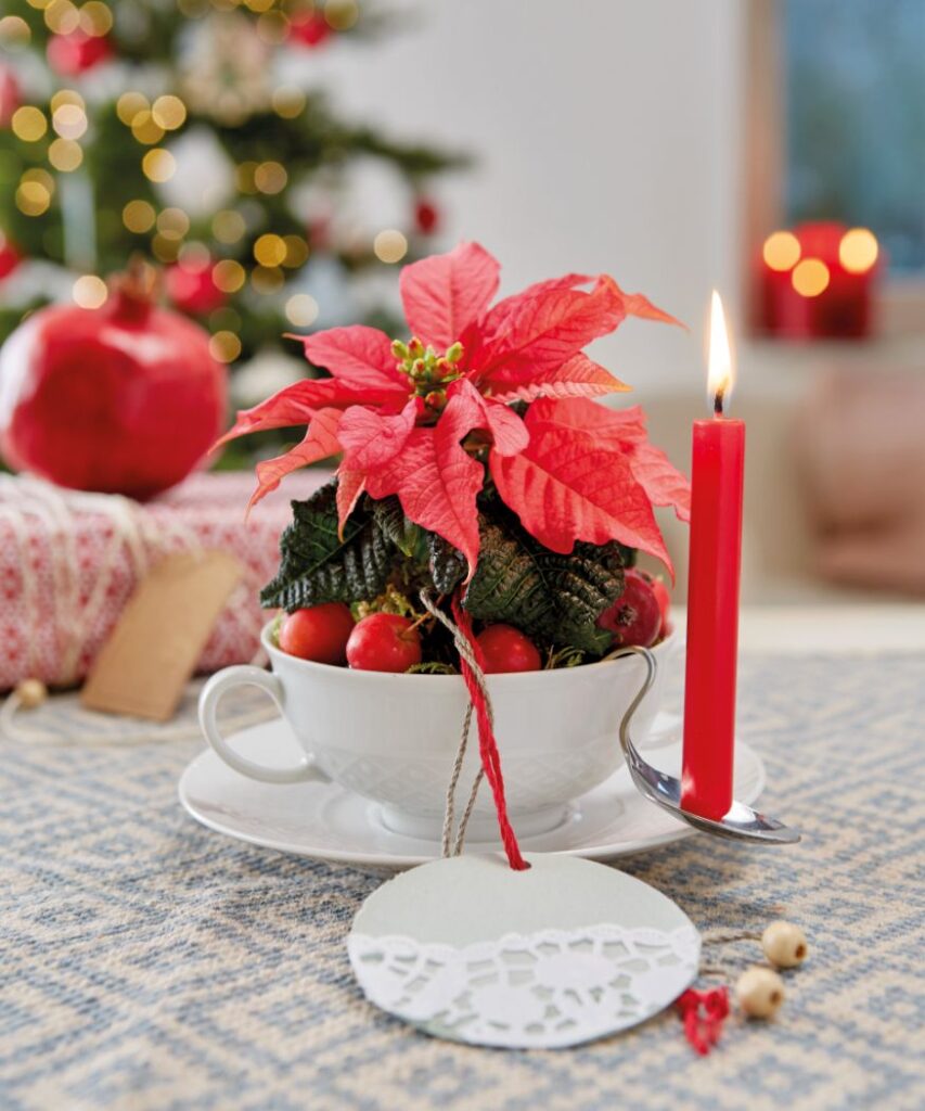 Малка яркочервена мини коледна звезда, декоративно подредена в чаша с червена свещ върху домашно изработен свещник от лъжица, поставена на маса с украсена коледна елха на заден план. Чудесна идея за ръчно изработена украса.  