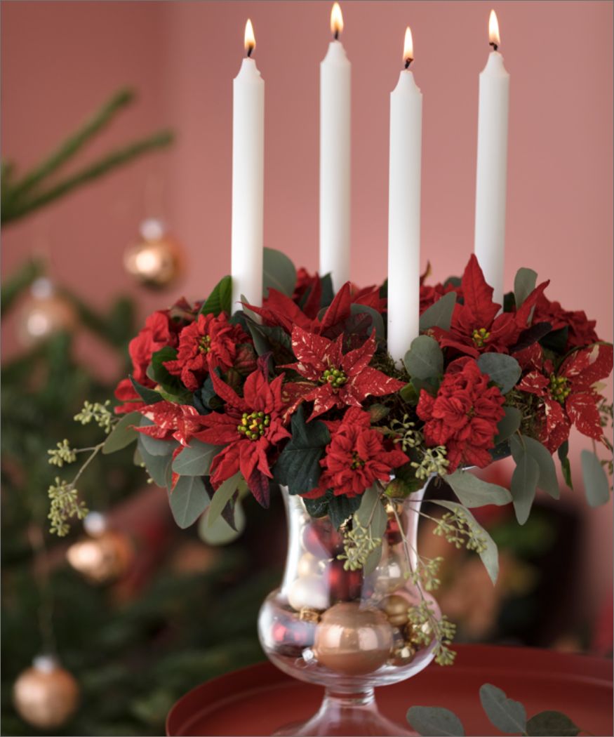 2018-poinsettia-0 Ein barock anmutender Advenkranz mit roten, geschnittenen Weihnachtssternblüten, Eukalyptus-Zweigen und weißen Stabkerzen sitzt auf einem Glaspokal, der mit goldenen und bordeauxroten Kugeln gefüllt ist