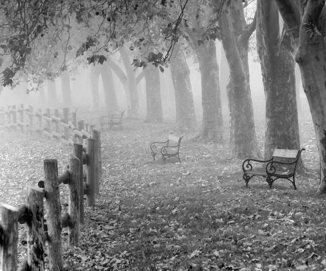 fall-gc68d35c3f-1920