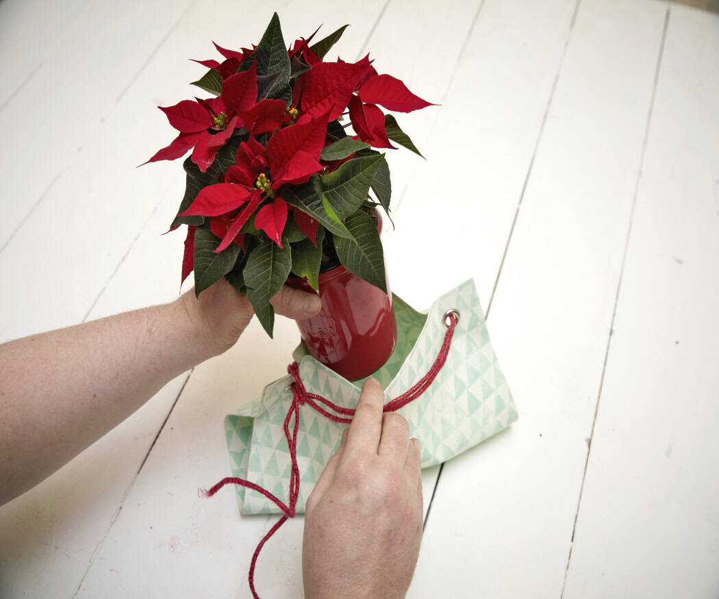 2025_Poinsettia_02160_DIY_Easy_Recycled_Wallpaper_Gift_Bag_02