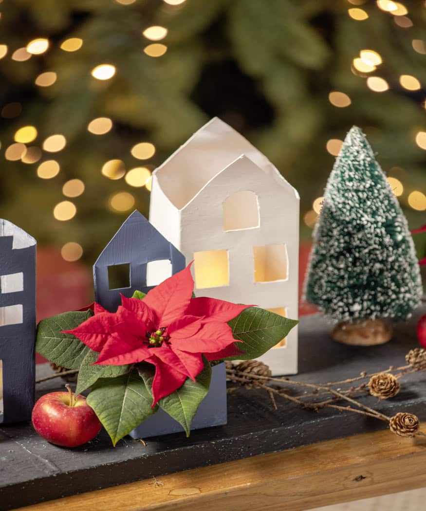 2025_Poinsettia_02170_DIY_Upcycled_Carton_Winter_Village_07
