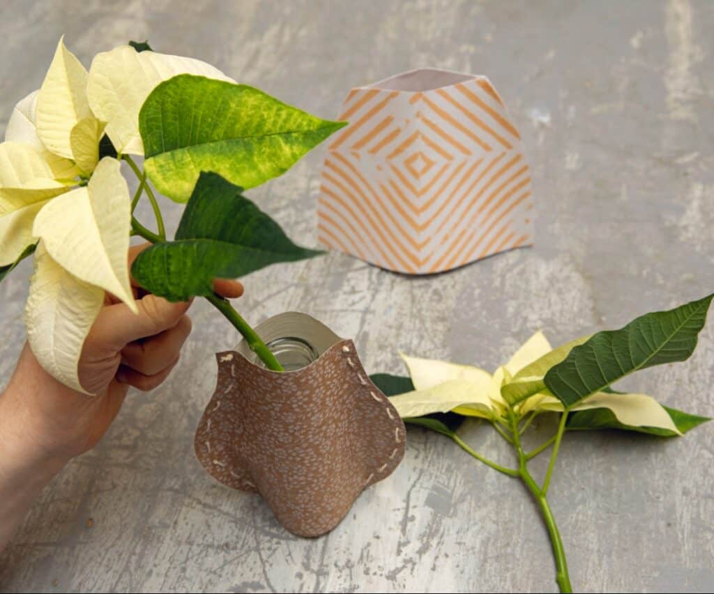 Weihnachtsstern-Stiel in die DIY-Vase einsetzen