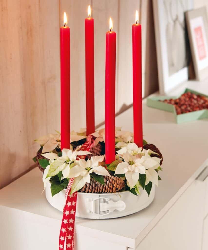 Upcycling-Adventskranz in einer Springform mit roten Kerzen, weißen Mini-Weihnachtssternen, Moos und Tannenzapfen.