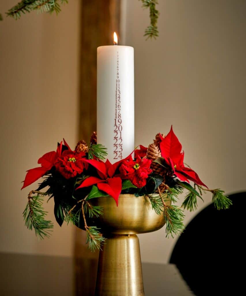 Adventskerze mit roten Weihnachtssternen, Tannengrün und Zapfen in goldenem Gefäß
