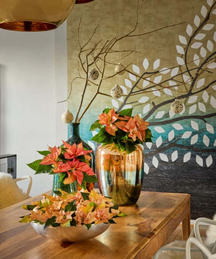 Moderne Tischdeko zu Weihnachten mit Weihnachtssternen in Apricot und Rosé sowie metallisch glänzenden Gefäßen