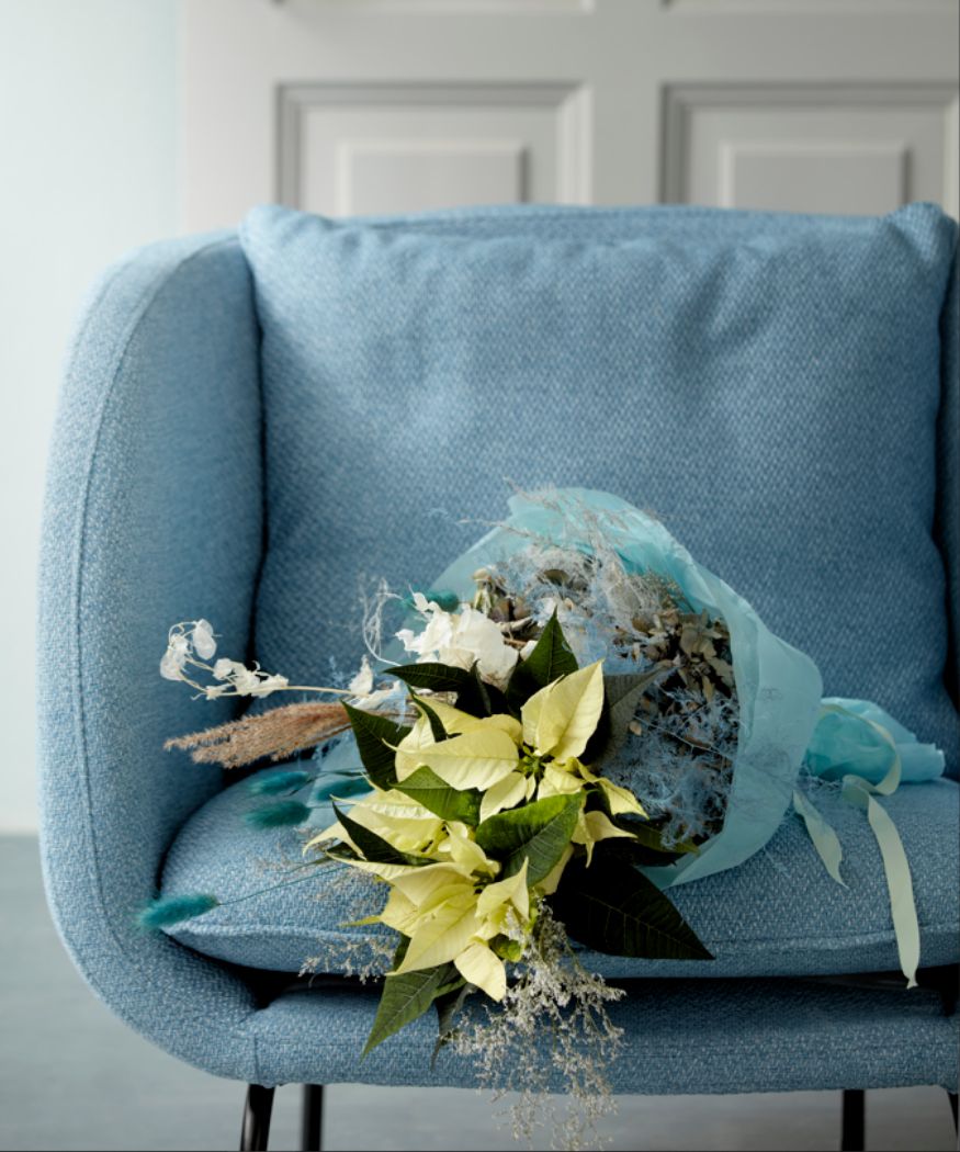 Winterlicher Blumenstrauß mit cremefarbenen Schnittweihnachtssternen und Trockenblumen auf einem hellblauen Sofa