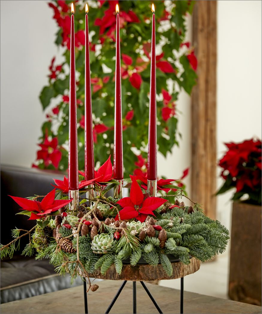 2022-poinsettia-02000-urban-loft-christmas-32