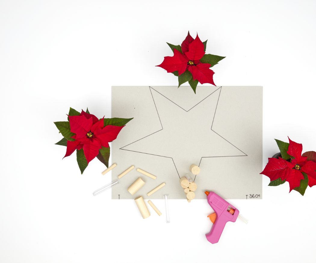 2022-poinsettia-02120-diy-wooden-star-for-advent-03