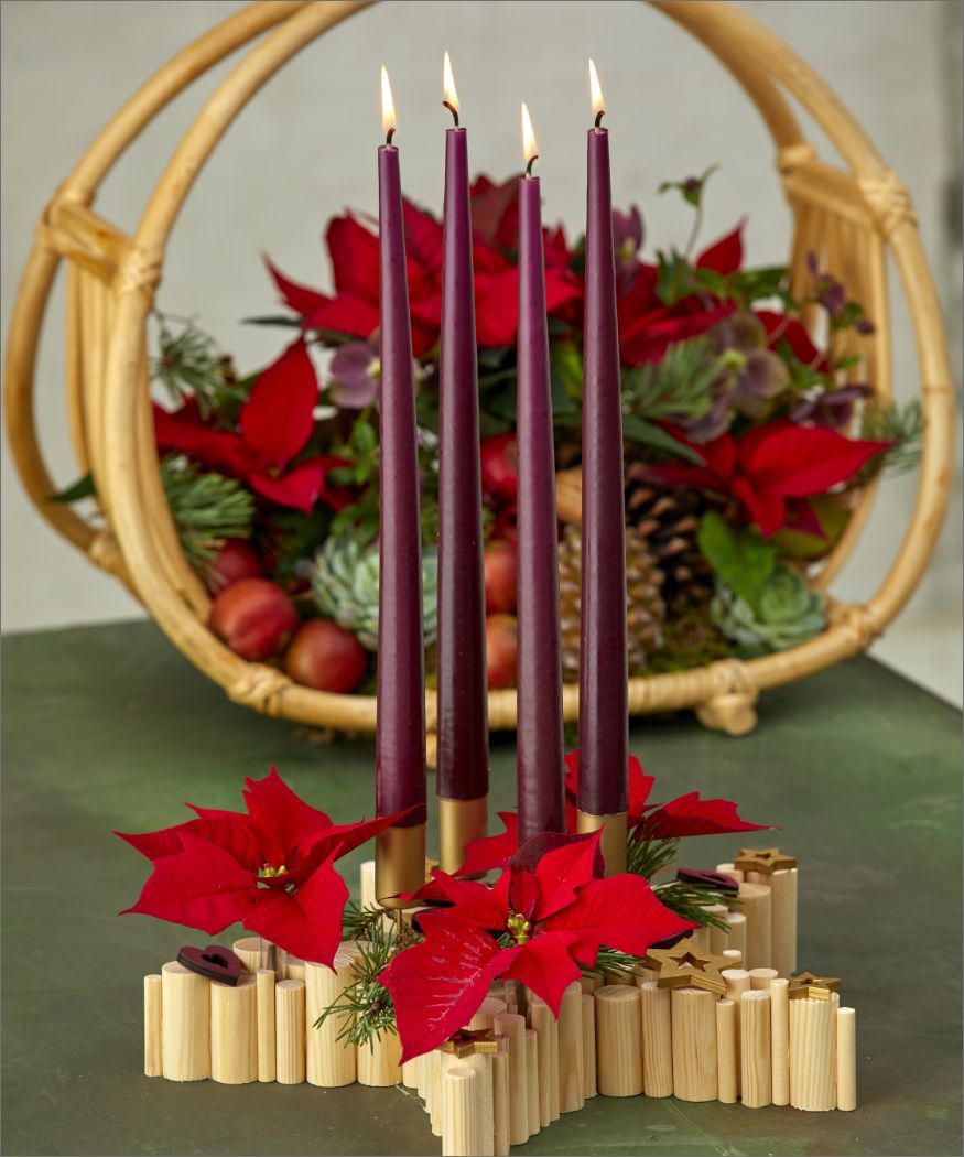 2022-poinsettia-02120-diy-wooden-star-for-advent-05