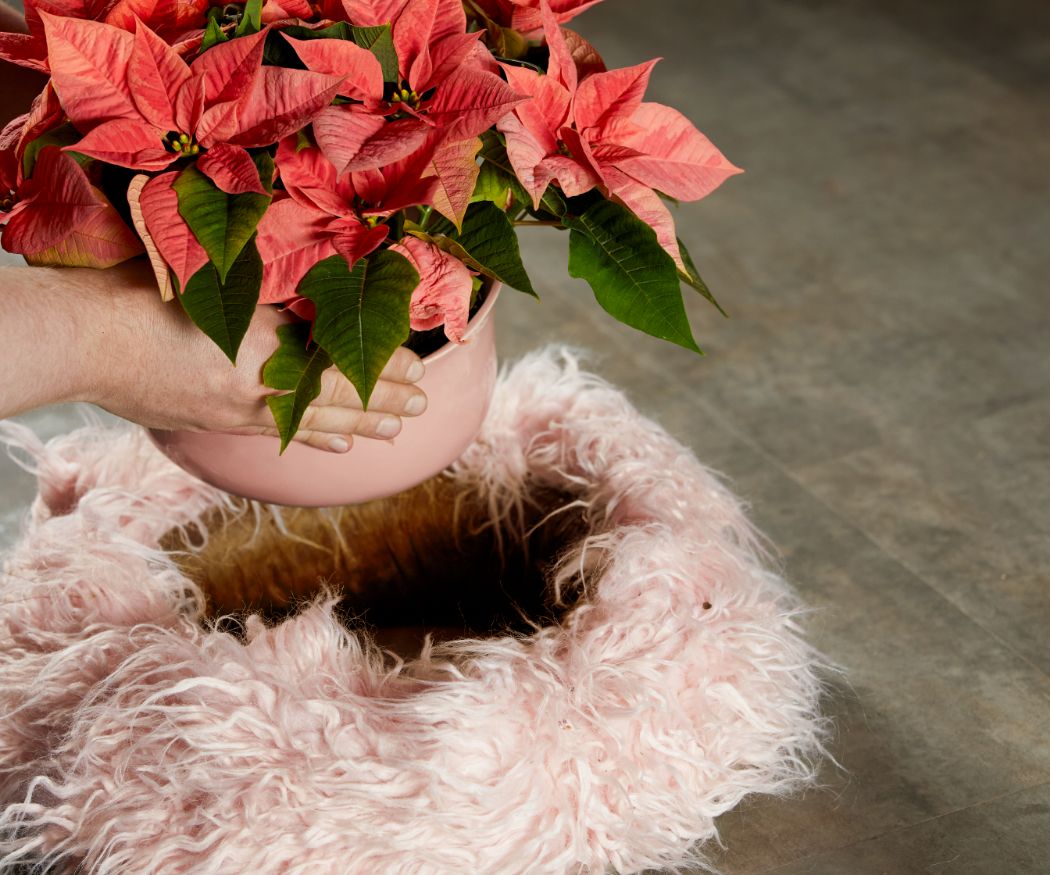 2022-poinsettia-06110-diy-fluffy-flokati-advent-wreath-03