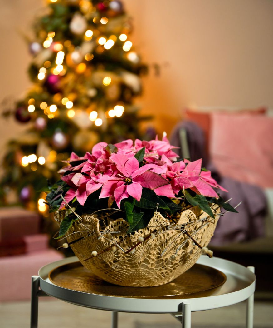 2022-poinsettia-06120-diy-lace-planter-bow-06