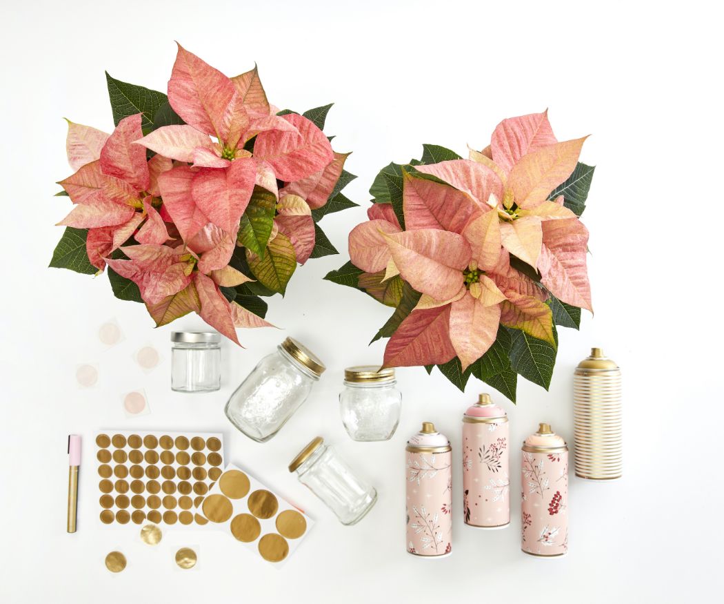 2022_poinsettia_04110_DIY_Advent_Calendar_with_Painted_Jars_01