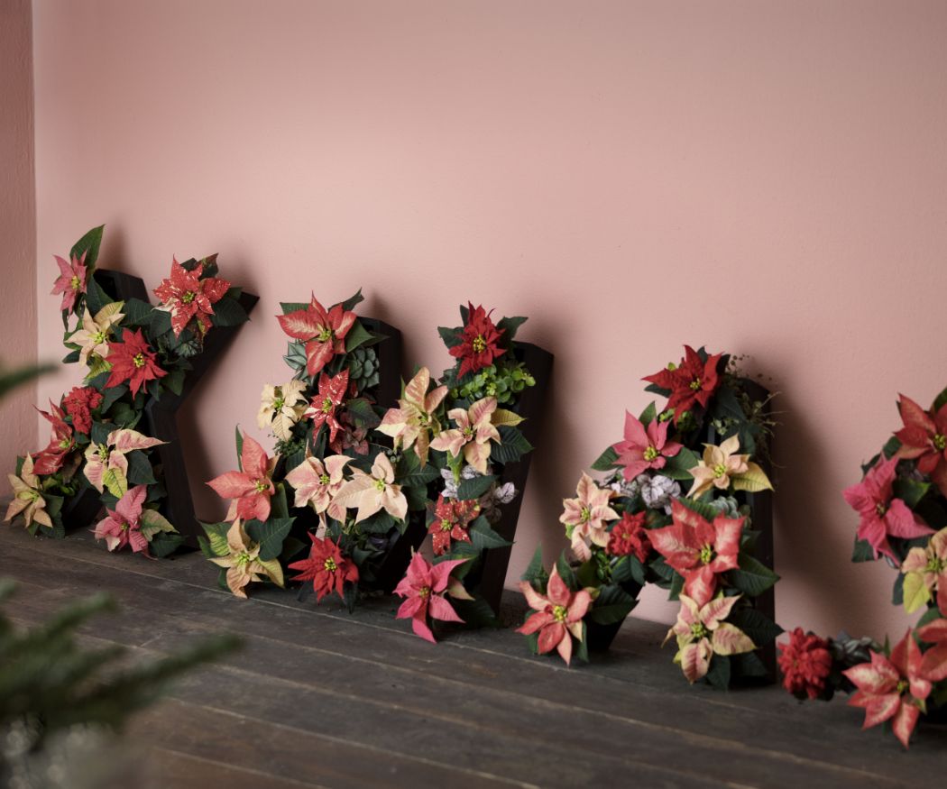 2019_poinsettia_02230_DIY_christmas_letters_05