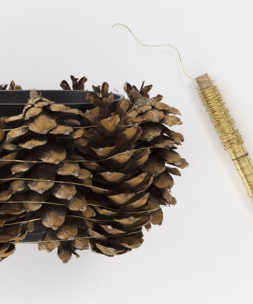 2019_poinsettia_02240_DIY_Stars_Pine_Cones_03