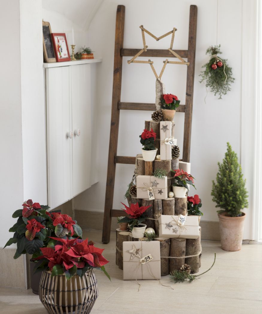 2019_poinsettia_03320_DIY_wooden_advent_calender_04