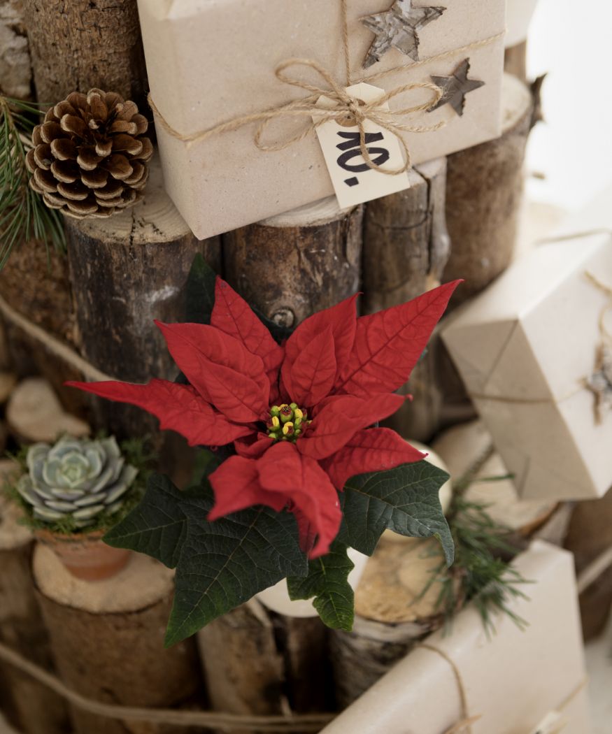 2019_poinsettia_03320_DIY_wooden_advent_calender_05