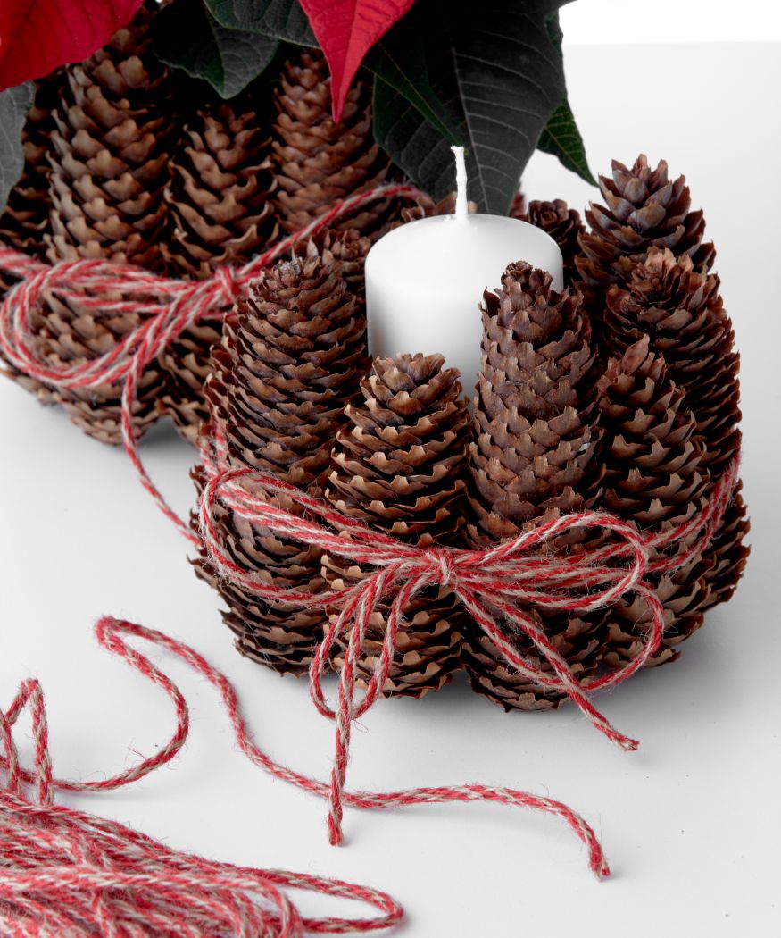 2020_poinsettia_04120_DIY_pine_cone_vase_03