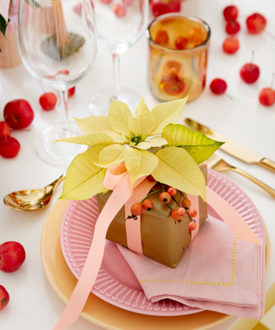 2021-poinsettia-06000-candy-colour-christmas-07