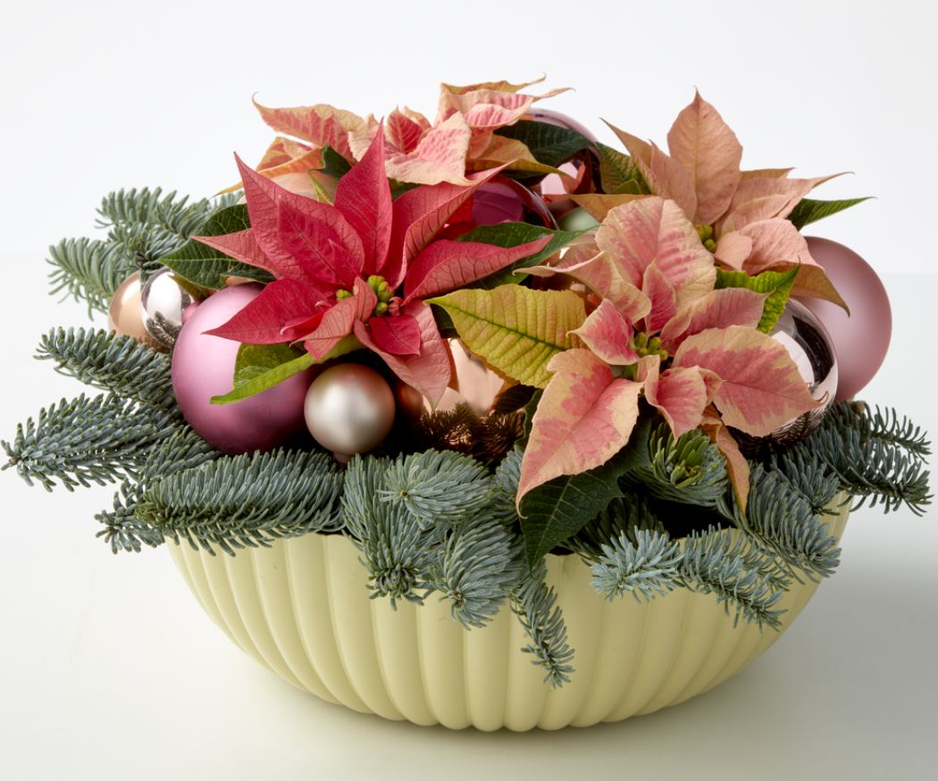 2021-poinsettia-06110-diy-bowl-baubles-blooms-03
