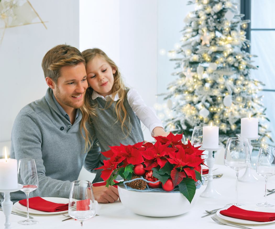 Poinsettia decorations deals