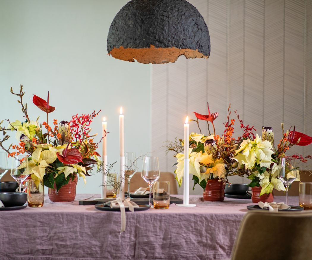 2023_poinsettia_04000_Contemporary_Autumn_Living_01