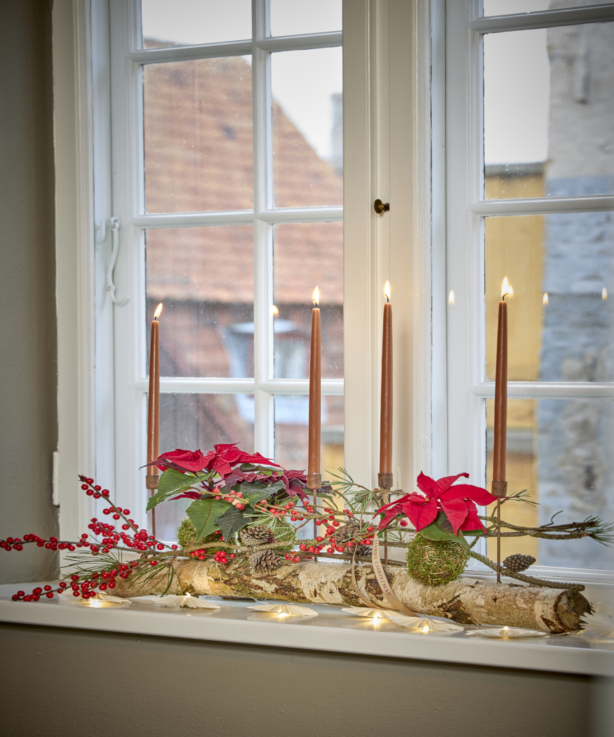 2025_Poinsettia_01000_Nordic_Winter_Charm_15