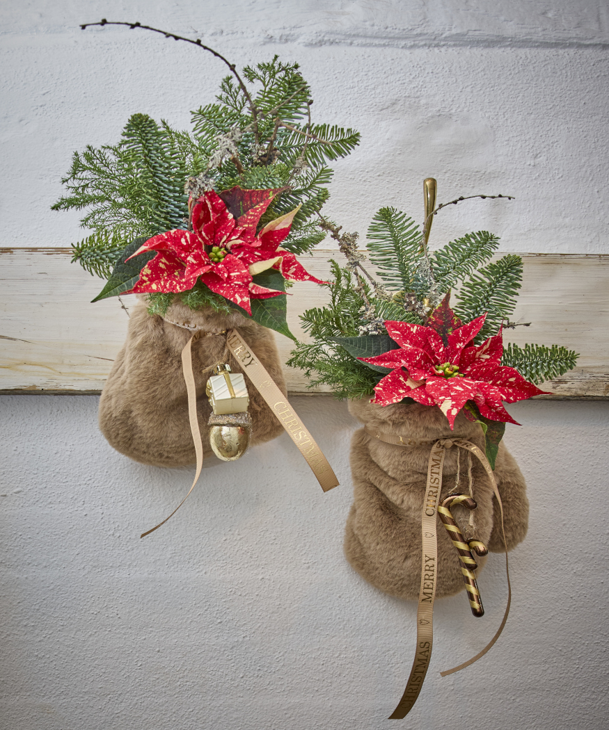 2025_Poinsettia_01000_Nordic_Winter_Charm_23
