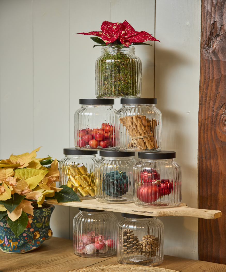 2025_Poinsettia_01000_Nordic_Winter_Charm_29
