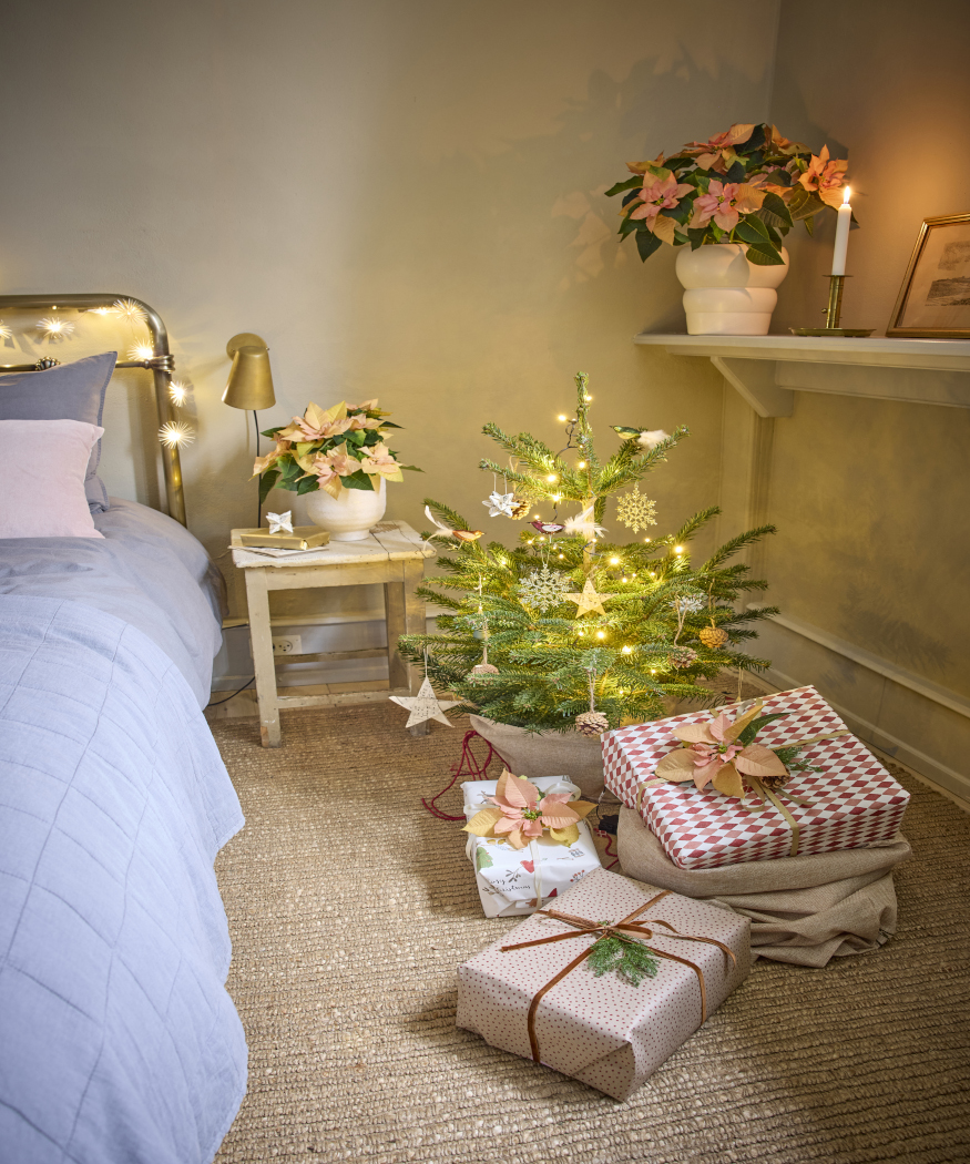 2025_Poinsettia_01000_Nordic_Winter_Charm_35