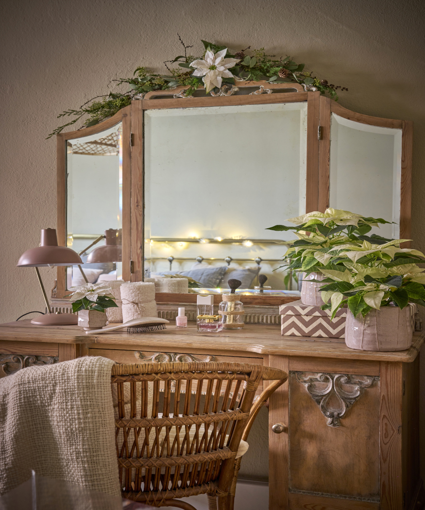 2025_Poinsettia_01000_Nordic_Winter_Charm_40