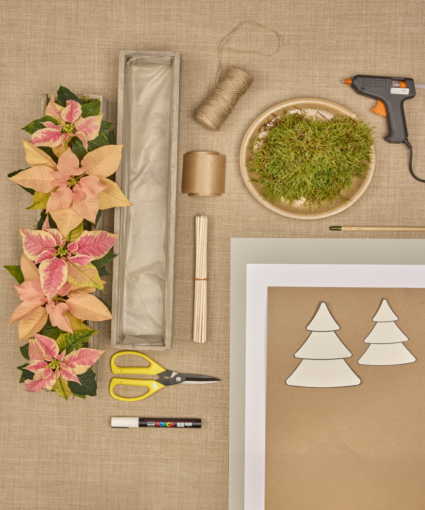 2025_Poinsettia_01110_DIY_Paper_Tree_Advent_Calendar_01