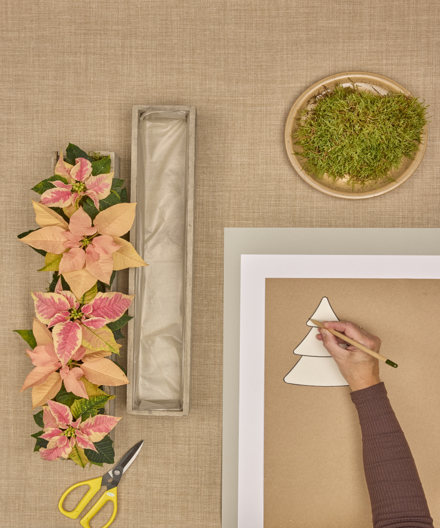 2025_Poinsettia_01110_DIY_Paper_Tree_Advent_Calendar_02