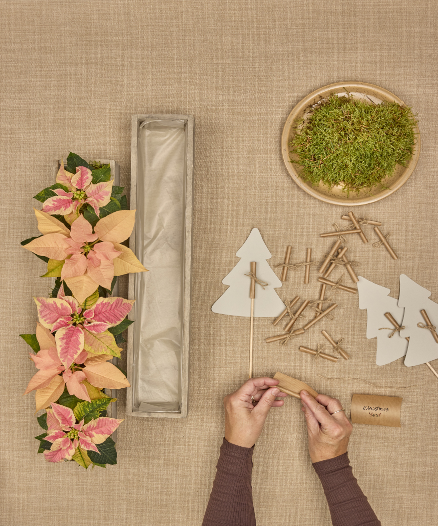 2025_Poinsettia_01110_DIY_Paper_Tree_Advent_Calendar_06