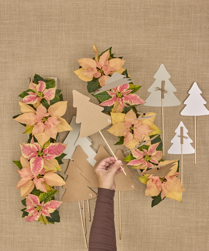 2025_Poinsettia_01110_DIY_Paper_Tree_Advent_Calendar_08
