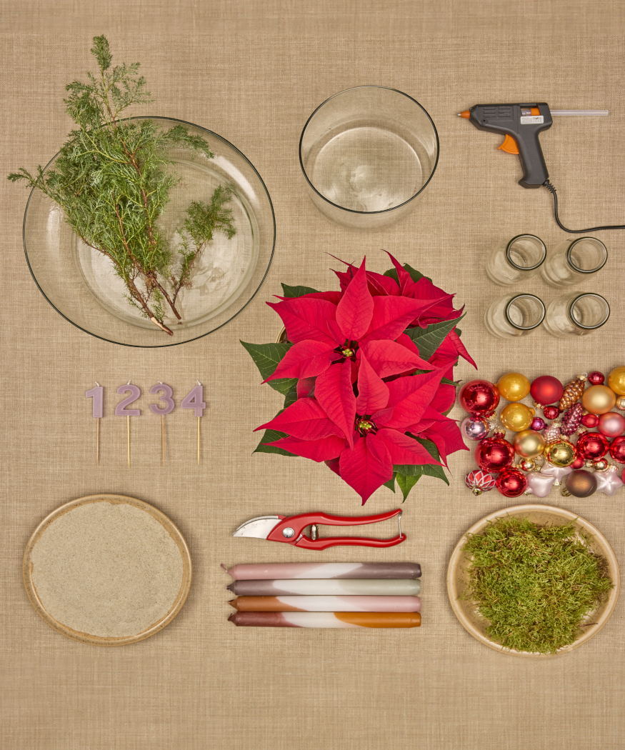 2025_Poinsettia_02120_DIY_Vibrant_Bauble_Vase_Advent_Wreath_01