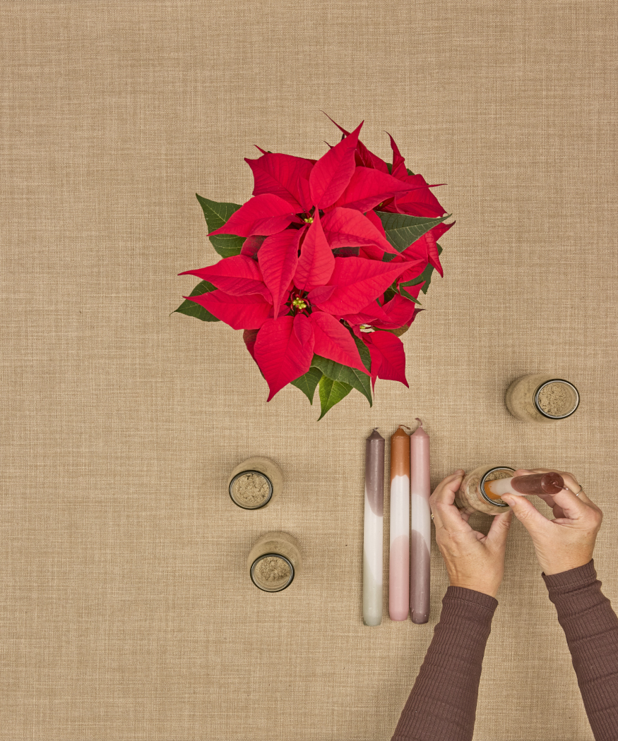 2025_Poinsettia_02120_DIY_Vibrant_Bauble_Vase_Advent_Wreath_04