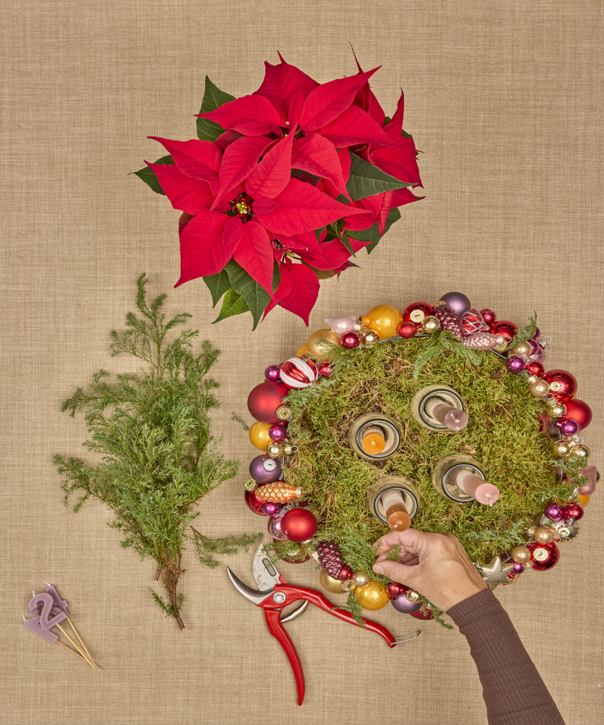 2025_Poinsettia_02120_DIY_Vibrant_Bauble_Vase_Advent_Wreath_06