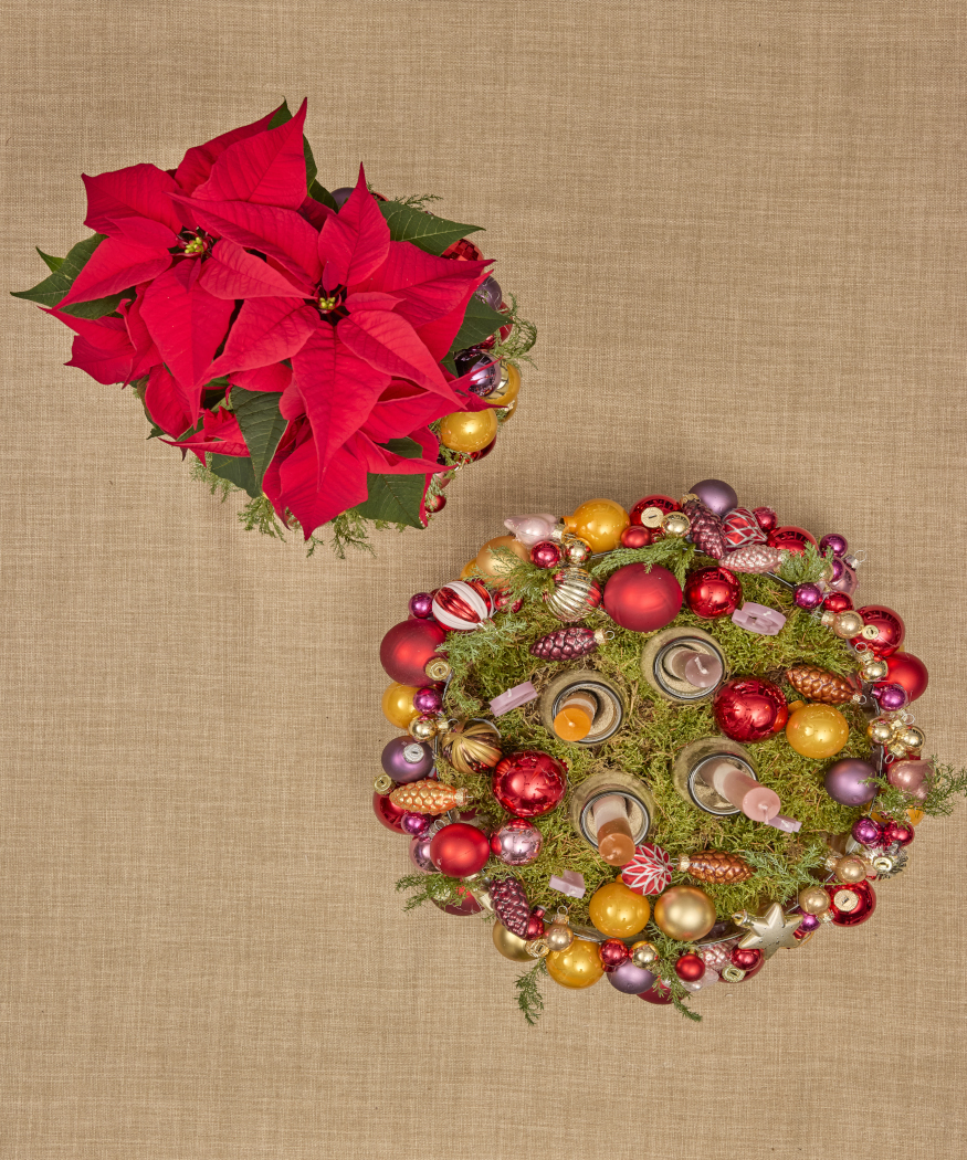 2025_Poinsettia_02120_DIY_Vibrant_Bauble_Vase_Advent_Wreath_09
