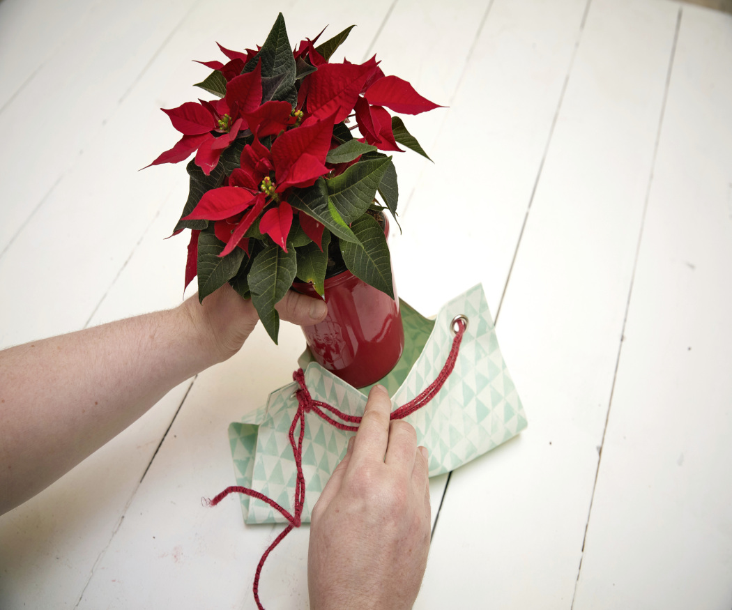 2025_Poinsettia_02160_DIY_Easy_Recycled_Wallpaper_Gift_Bag_02