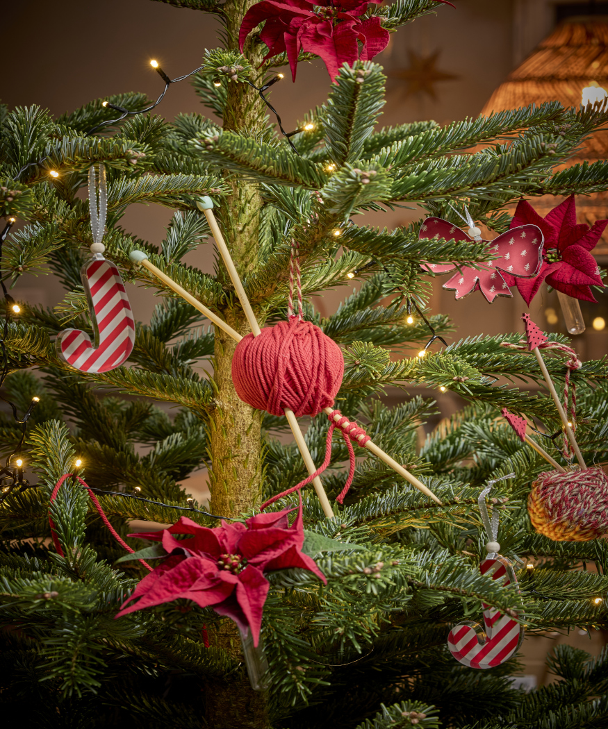 2025_Poinsettia_03000_Traditional_Christmas_Spirit_24