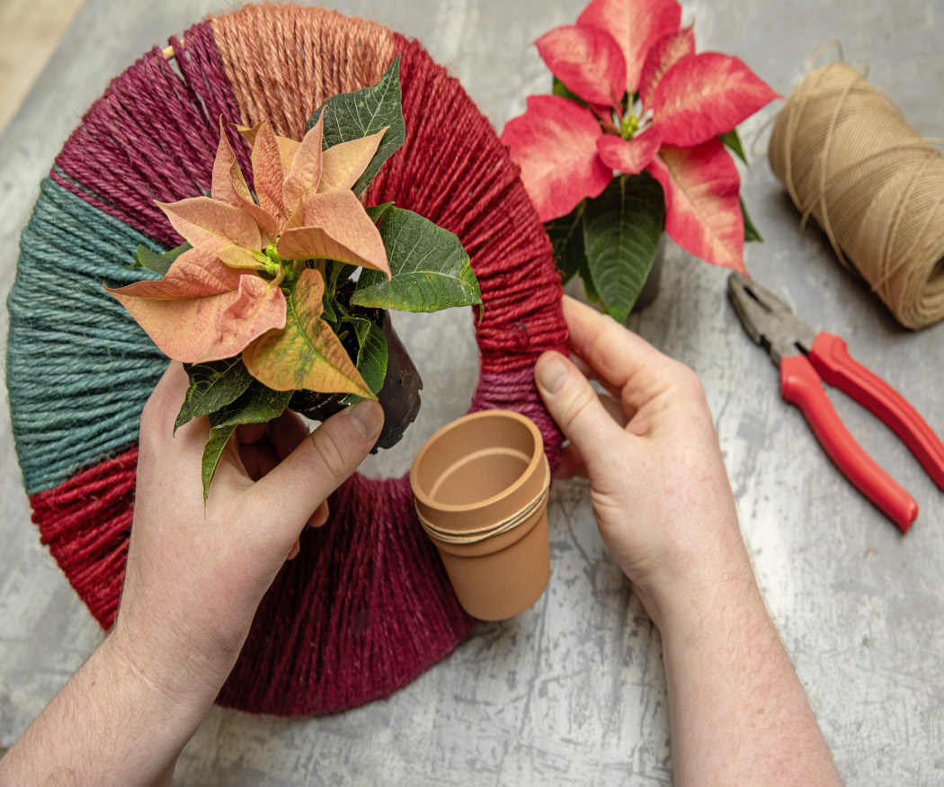 2025_Poinsettia_05110_DIY_Mexican_Twine_Wall_Deco_04