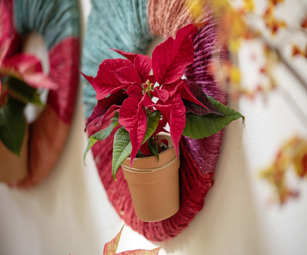 2025_Poinsettia_05110_DIY_Mexican_Twine_Wall_Deco_06