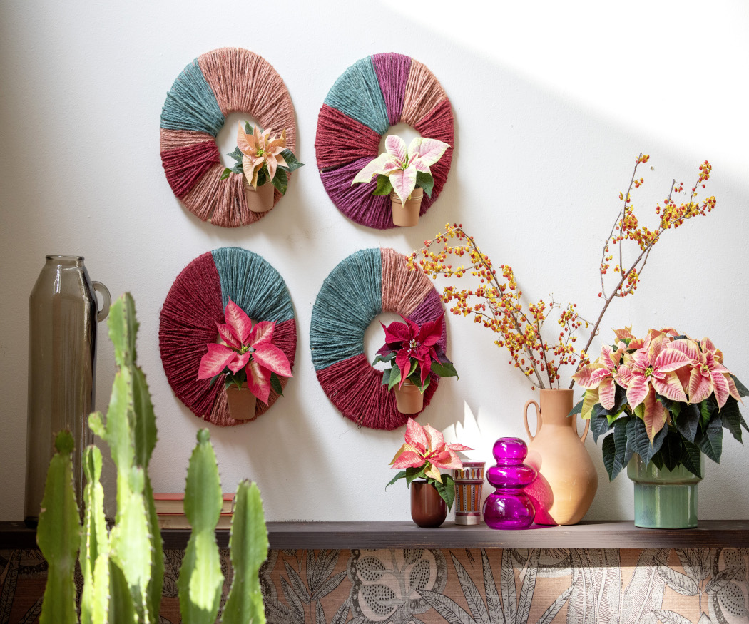 2025_Poinsettia_05110_DIY_Mexican_Twine_Wall_Deco_07