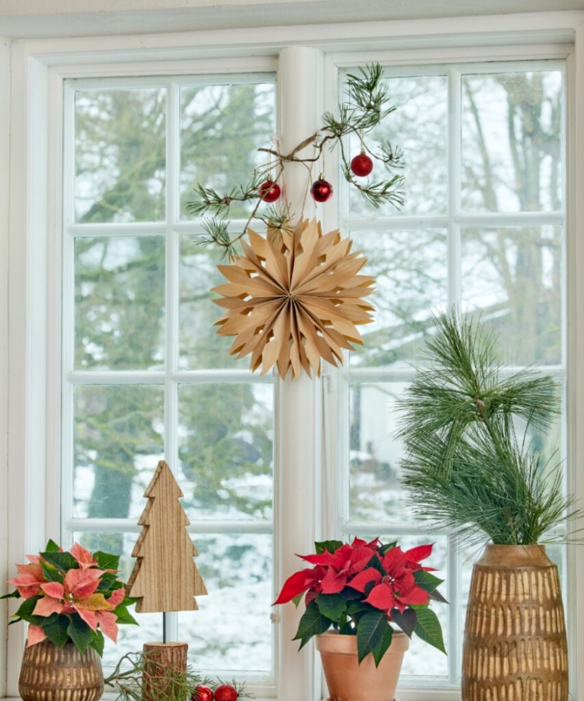 Two poinsettias sit on a windowsill, teamed with wooden decorations and evergreen branches against a wintry view.