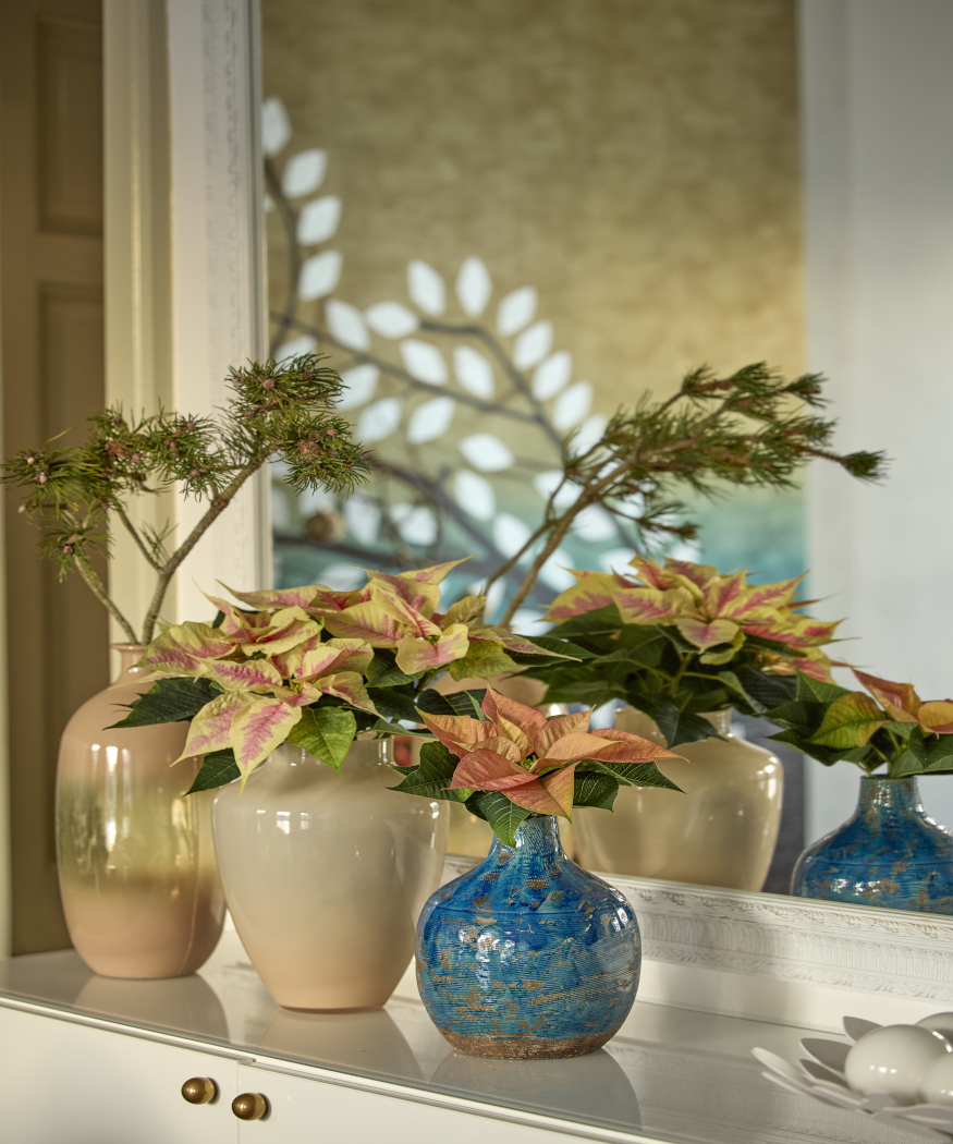 Rediscover poinsettias. Decorate in style throughout autumn and winter