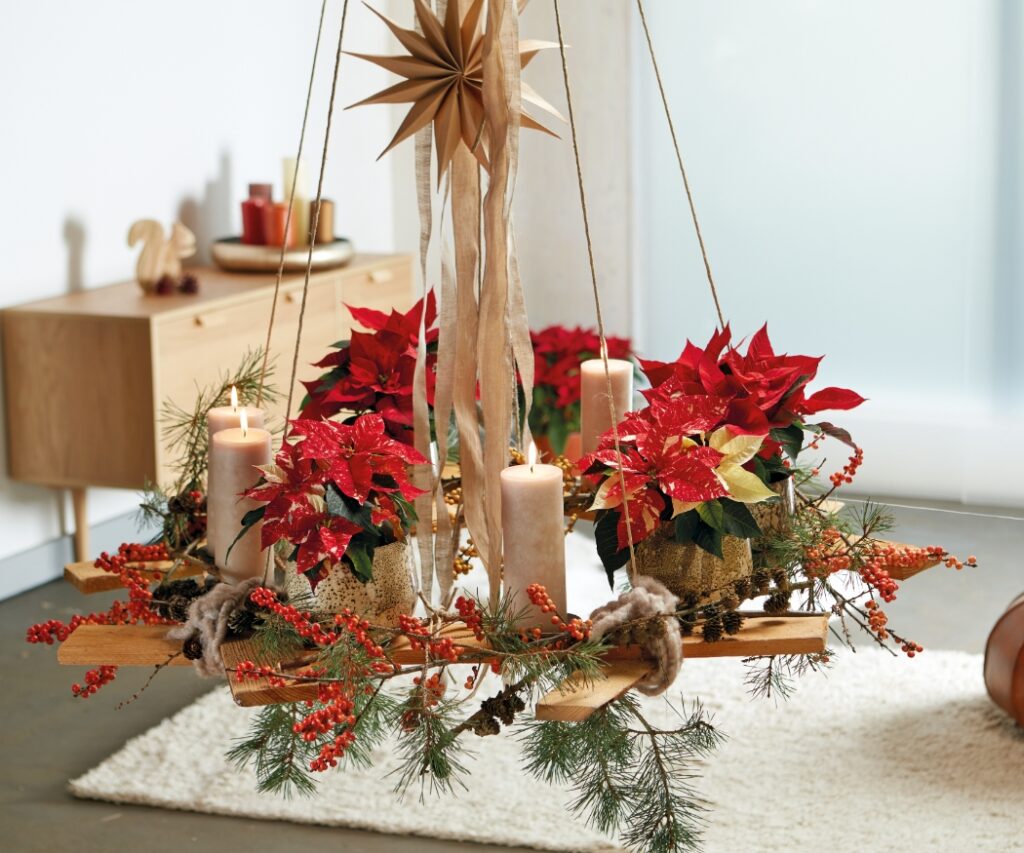 A hanging Advent wreath made from wooden slats, featuring red poinsettias, natural fir and berry twigs and four candles.