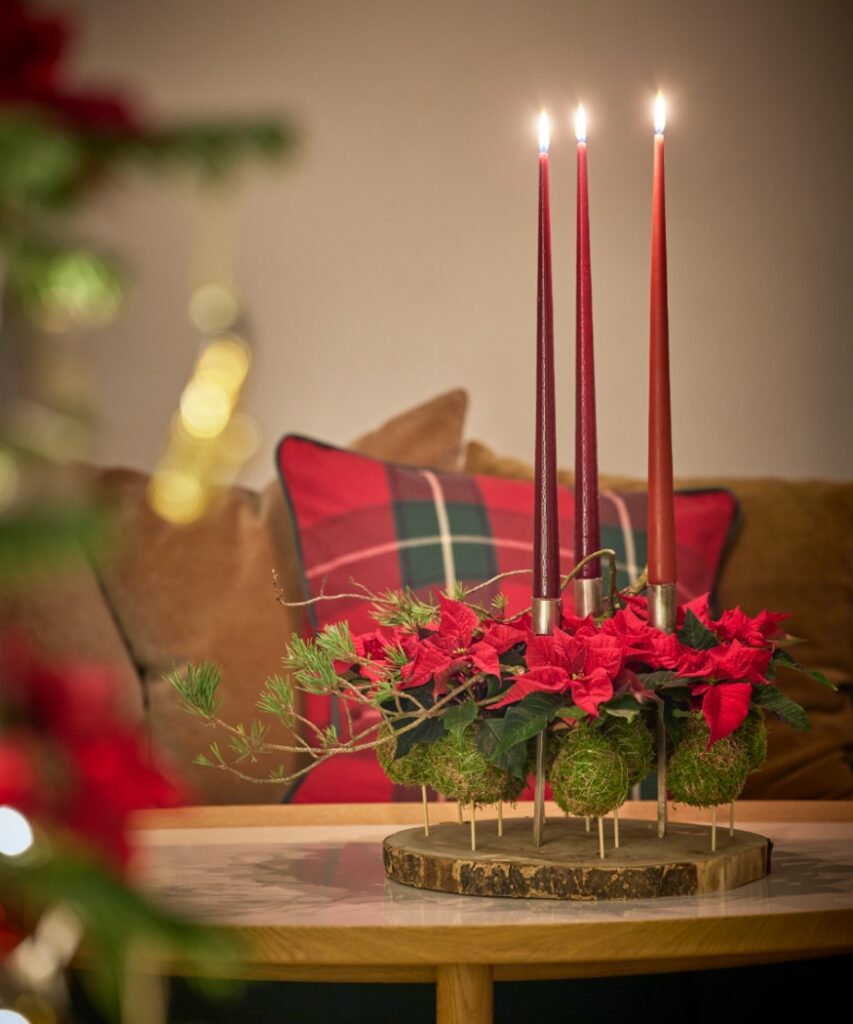 A natural Advent wreath above a log slice with suspended moss balls, red mini poinsettias and three candles. 