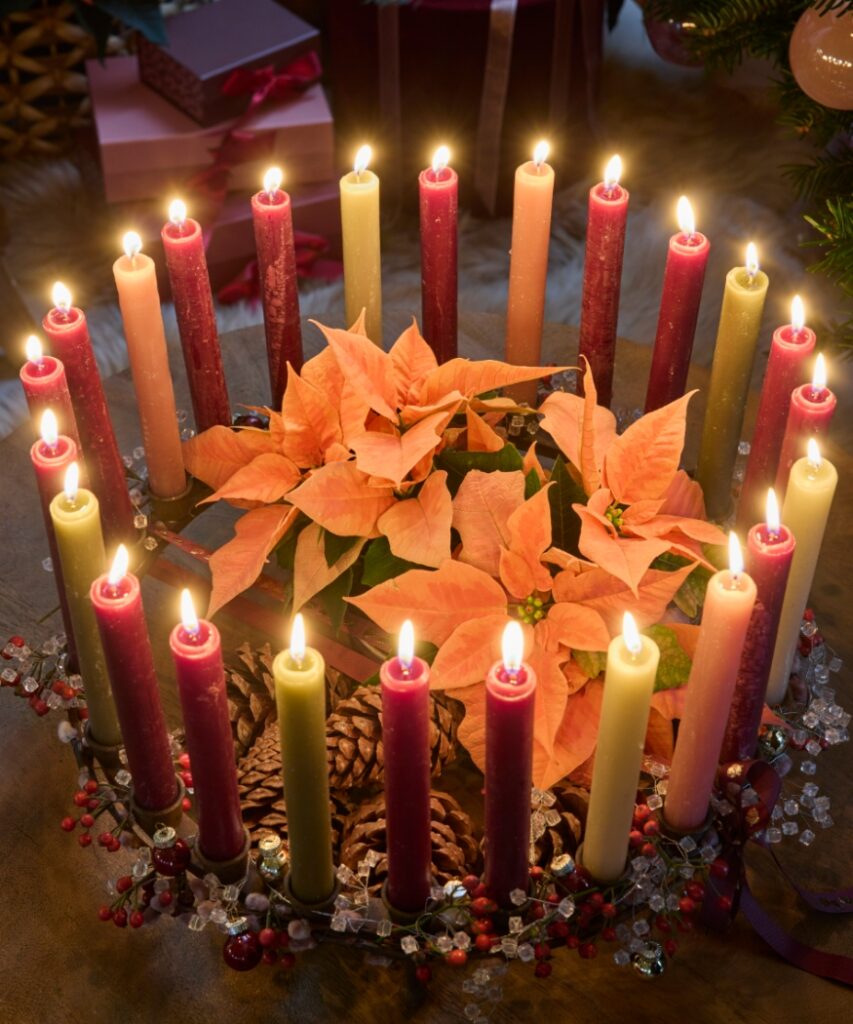 A modern Advent wreath featuring a ring of slender candles, apricot poinsettias, pine cones and red rose hips. 