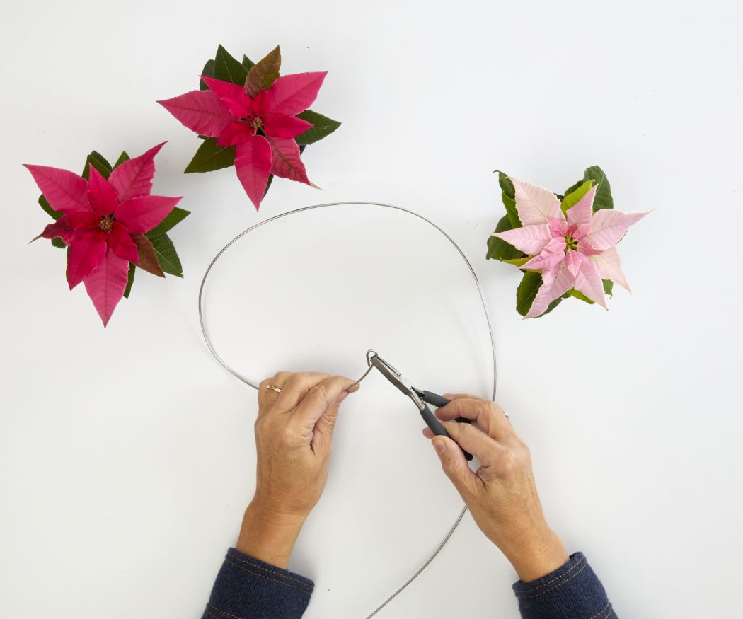 2022-poinsettia-04130-diy-floating-wire-christmas-tree-02